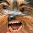 grrr